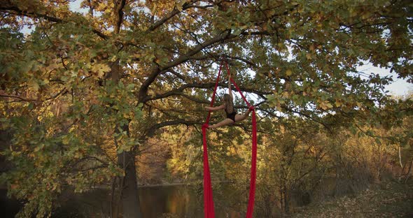 Aerial Gymnastics At Height, Woman On Canvases.  alt