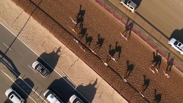 Aerial view of a group of camels during a race in the desert of Ras Al Khaimah. alt