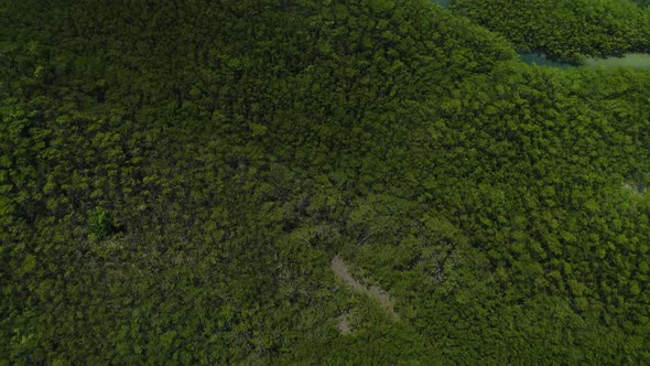 Aerial view of transparent river surrounded by rainforest, Cascalve, Brazil. alt