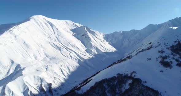 Snow on the mountain alt