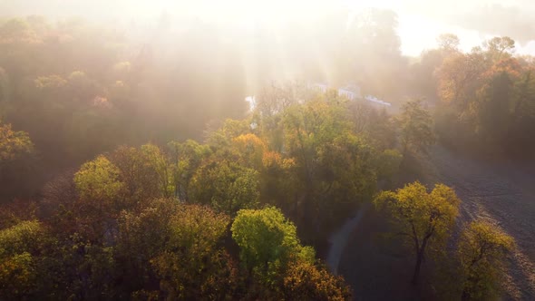 Aerial Flying Over Trees with Yellow Leaves Lake and Architecture on an Autumn alt