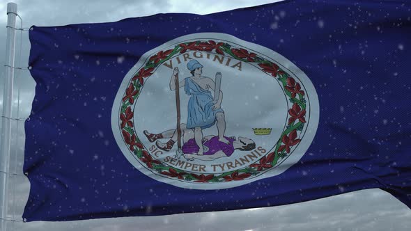 Virginia Winter Flag with Snowflakes Background, Motion Graphics ...