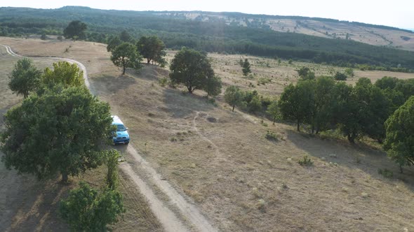 Farmer with blue pick up truck stops on dirt road in ranch with trees alt