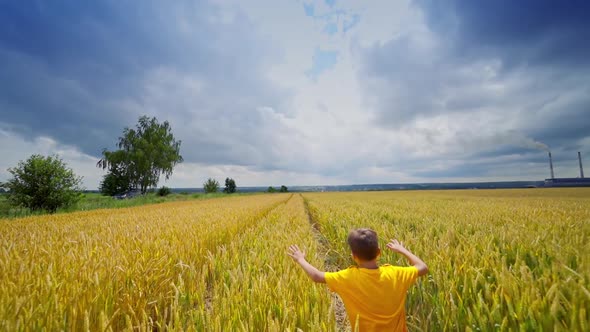 Little happy boy in field. Boy running on wheat field with blue sky background alt