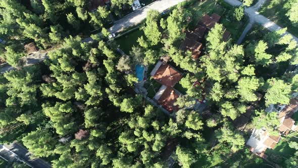 Villa Between Trees at the Summer alt