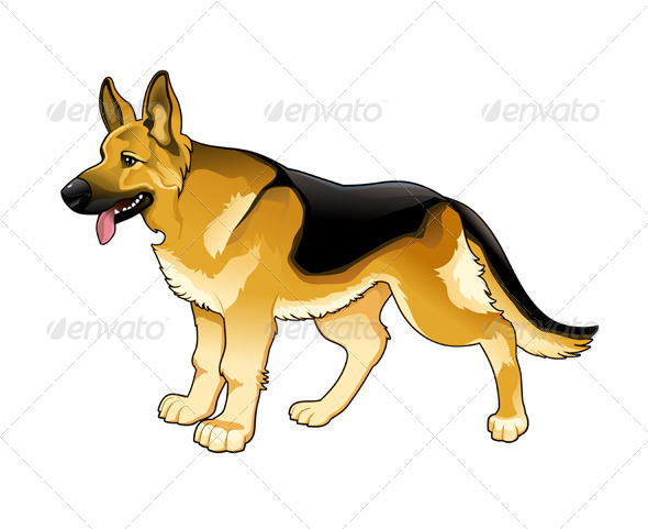 German Shepherd - Animals Characters