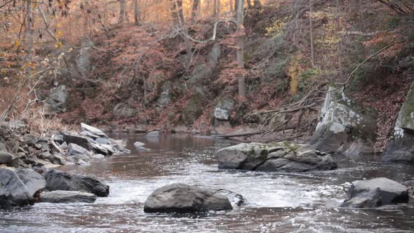 Rock Creek, north of Boulder Bridge, looking downstream - Rock Creek Park - Washington, DC - Autumn alt