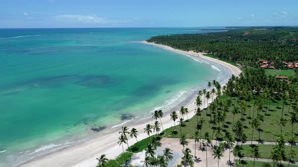 Panoramic view of legendary beach at Northeast Brazil. alt