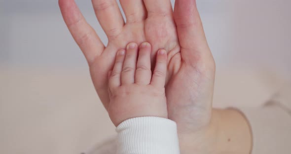 Maternal Care. Baby's Hand Holds Mom's Hand