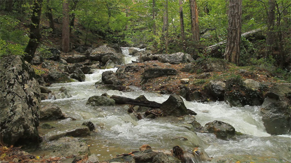 Stream on Mountain River