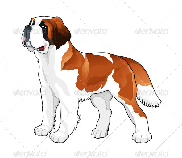 Saint Bernard - Animals Characters