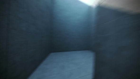 An infinite run through the bricked walls maze without an exit. Loopable. HD alt