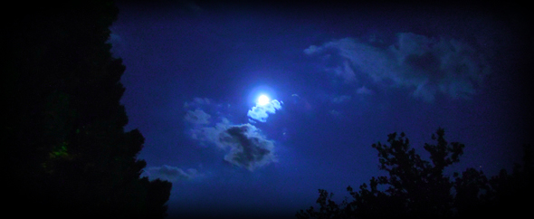 Untitled 1treatlight