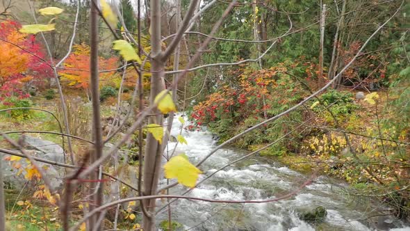 Water Rapids Flowing Down Stream In The Fall 01