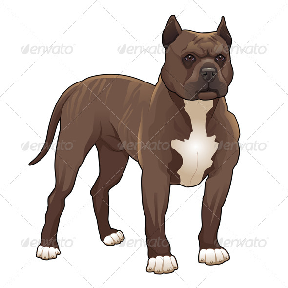 Pitbull. - Animals Characters