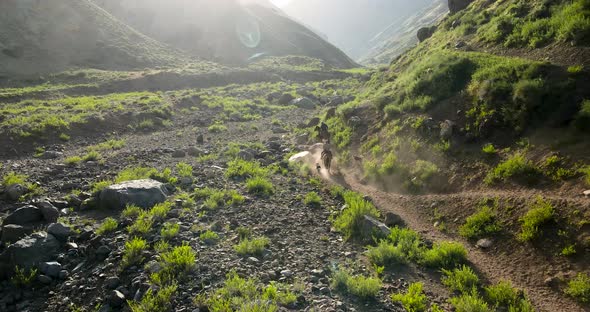 Tracking aerial view of two men on horseback being followed by their dogs kicking up dust in the ari alt