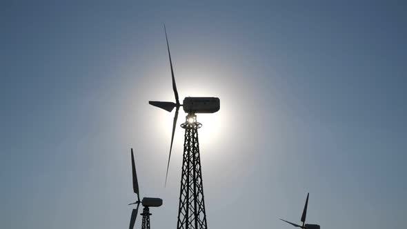 Windmills in the Sun