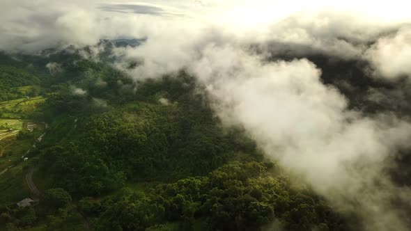 Aerial view flying above lush green tropical rain forest mountain with rain cloud cover during the r alt