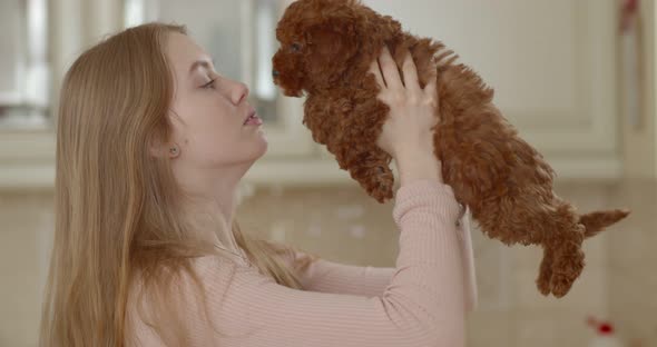 A young beautiful girl raises a poodle puppy in front of her and kisses him. 