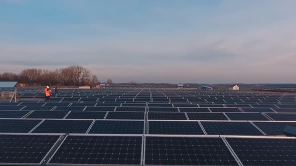 Photovoltaic solar panels on a flat roof at sunset.  alt