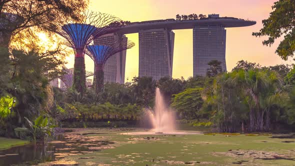 Time lapse supertree grove Futuristic view of amazing illumination. alt