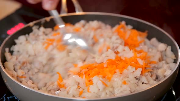 Minced Meat with Onions and Carrots Stewed in a Pan alt