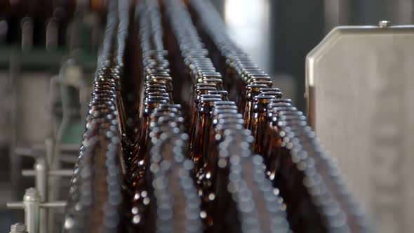 Four Rows of Empty Dark Glass Beer Bottles Are Transporting on Conveyor in Workshop