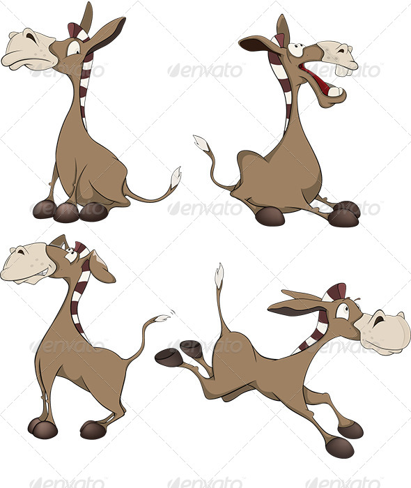Burros Cartoon - Animals Characters