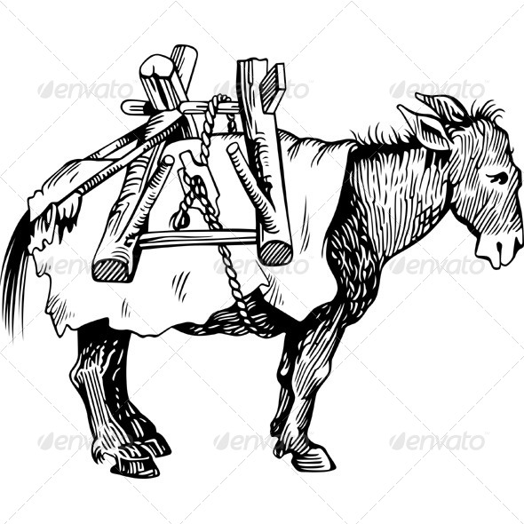 Transportation Donkey - Animals Characters