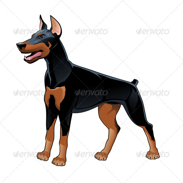 Dobermann Pinscher - Animals Characters