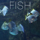 The Fish 9 - VideoHive Item for Sale