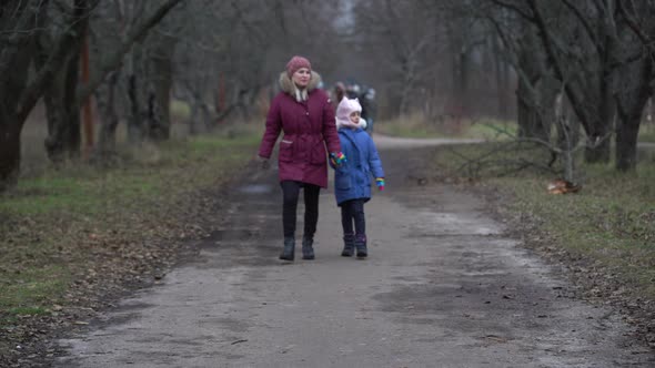 People Walk Gloomy Park in January alt