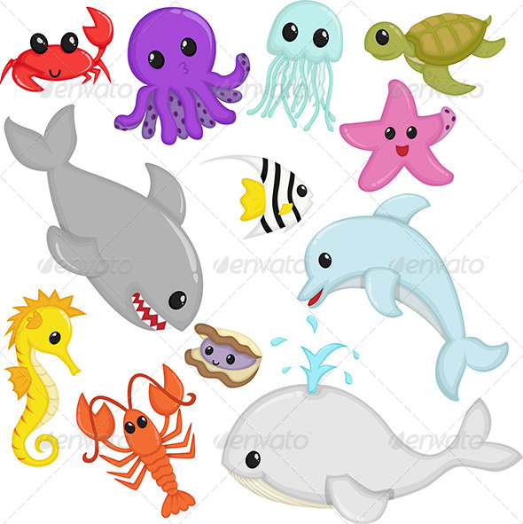 Marine Wildlife Animals - Animals Characters