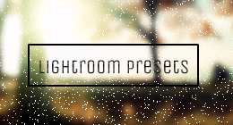 Lightroom Presets