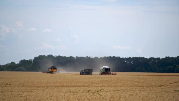 Heavy technics in wheat field.  alt