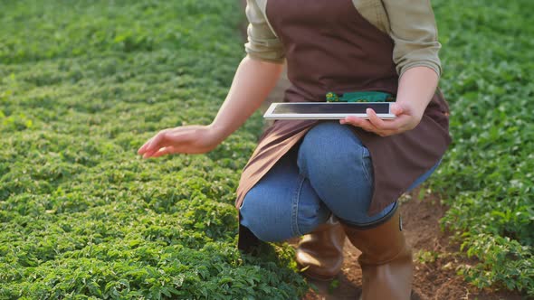 Woman Works in a Greenhouse, Uses a Tablet alt