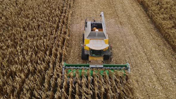 Rivne Ukraine  November 23 2021 alt