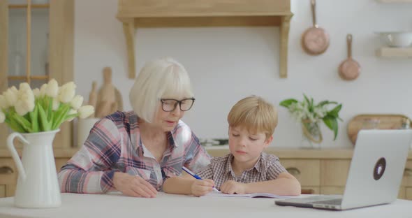 60s Grandmother Making Online Homework with Preschool Grandson at Home, Senior Woman in Glasses and alt