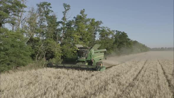 Combine Harvesting Wheat Top View of a Wheatfield alt