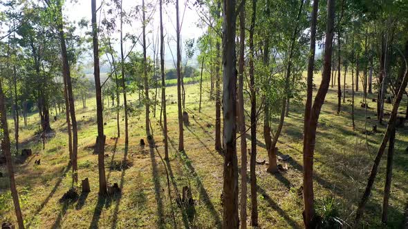 Farming landscape at countryside rural scenery. alt