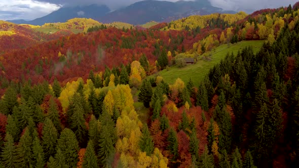 Drone Shot of Autumn Forest With Mountains In The Background