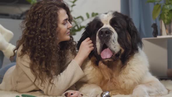 Close-up of Brunette Caucasian Woman Stroking Big Saint Bernard's Ear and Talking. Smiling Girl alt