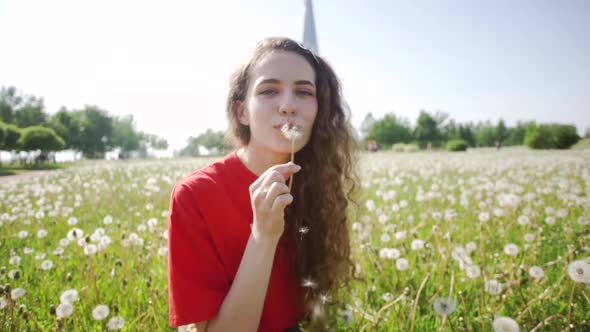 Curly Attractive Girl Blowing on a Dandelion. Young Pretty Woman Made a Wish. Lady in a Red T-shirt