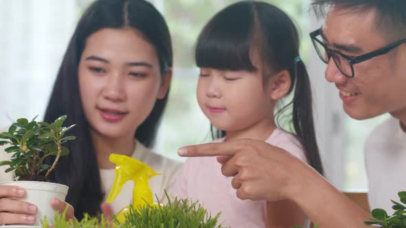 sian family dad, mom and daughter watering plant in gardening near window at house. alt