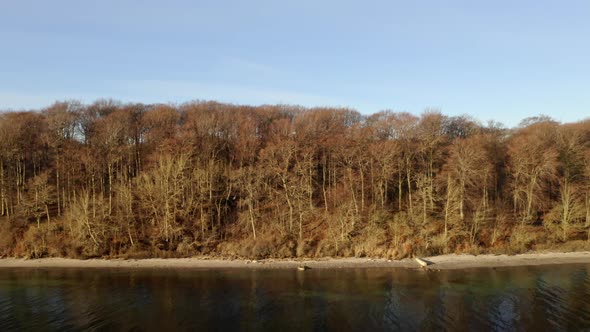 Brown Forest near Beach in Denmark alt
