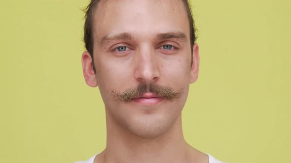 Handsome Gentleman Smiling Sincerely with White Teeth on Camera Closeup Concept of Emotions alt