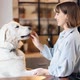 Woman with Her Adorable Dog in the Kitchen at Home - VideoHive Item for Sale