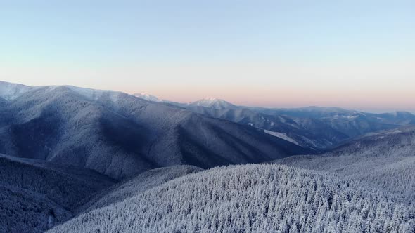 Aerial Flying Above Winter Forest in Mountain Valley
