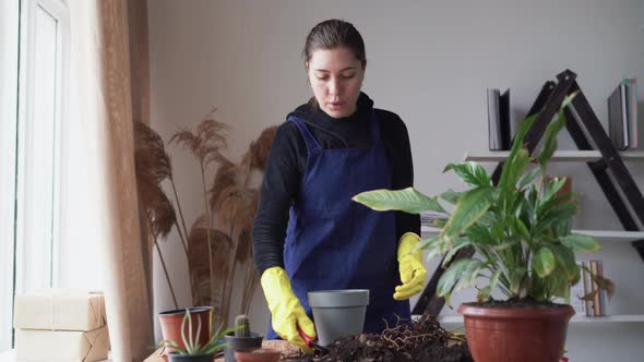 A Young Caucasian Lady a Gardener in Work Clothes with Black Hair Tells How to Transplant alt