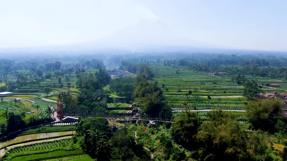 Jokowi Bridge with scenic view on cascade waterfall and topical landscape Java, aerial alt